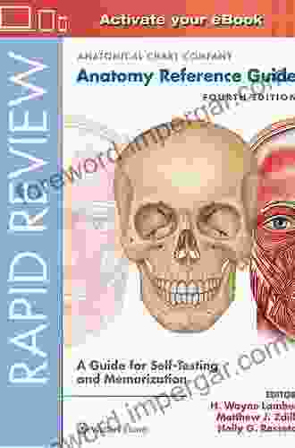 Rapid Review: Anatomy Reference Guide: A Guide For Self Testing And Memorization