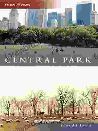 Central Park Edward J Levine