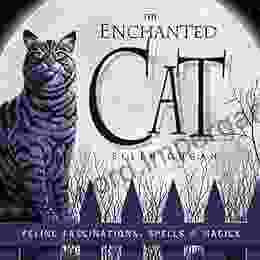 The Enchanted Cat: Feline Fascinations Spells And Magick